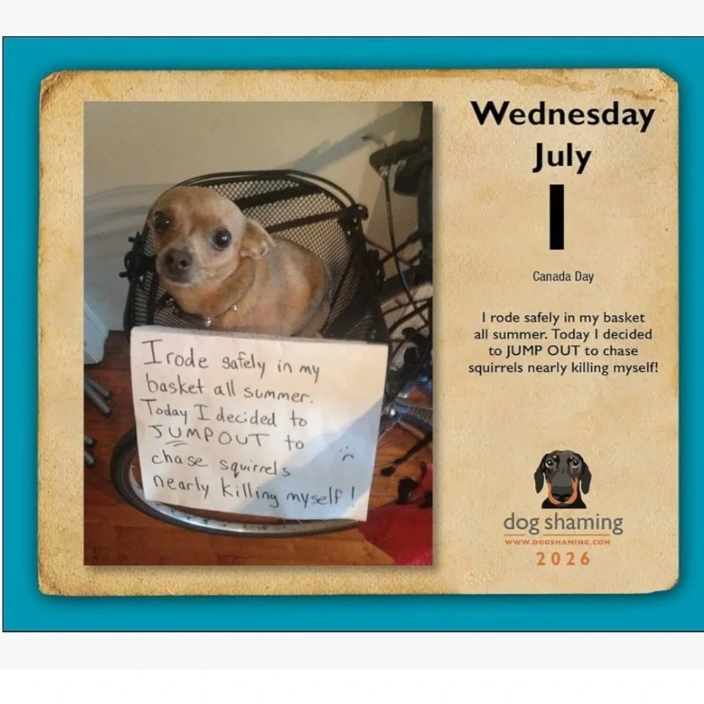 Dog Shaming 2026 Day-to-Day Calendar new!